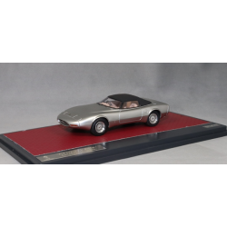Jaguar XJ Spider Concept Car by Pininfarina in Silver 1978